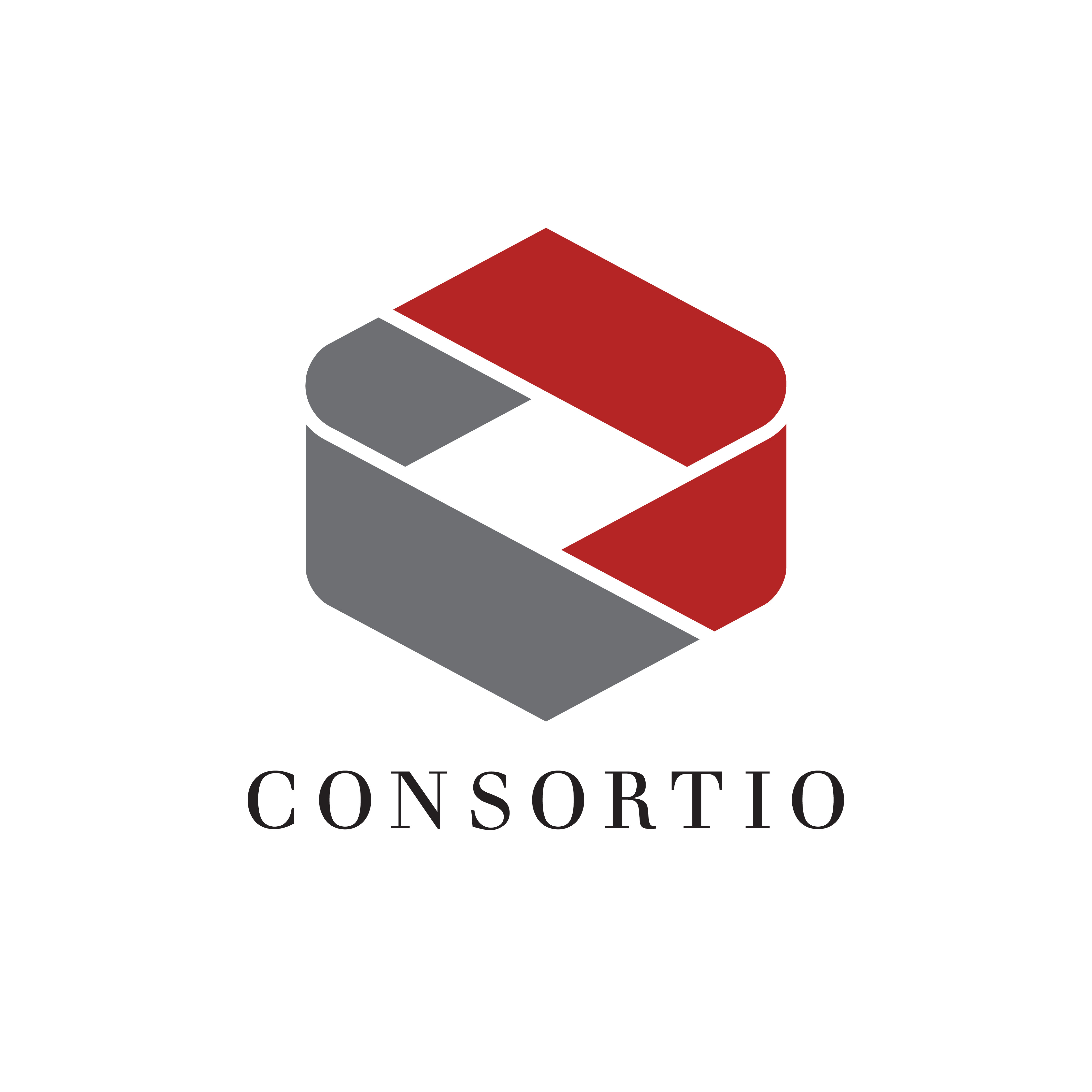 Công ty Cổ phần Consortio Việt Nam Logo